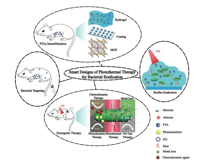 图1 光热杀菌示意图（图片来自Xu et al., BiomaterialsScience, 2021.）