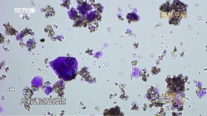 △显微镜下的中国紫
