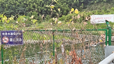     余姚市梨洲街道雁湖村附近，防护网上“饮用水源保护地，禁止游泳”的提示赫然在目，防护网后游客自在戏水。记者 谢舒奕 摄