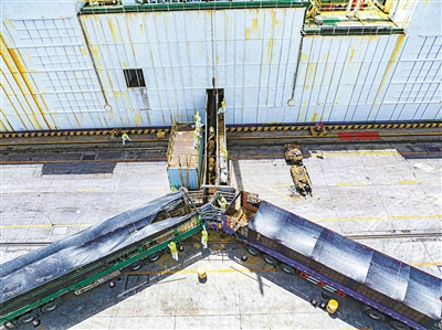     进口活牛接卸转运现场。（沈孙晖　刘泽生 摄）