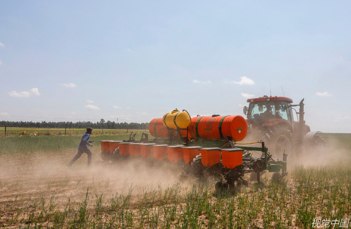 南非某农场正在进行大豆耕种