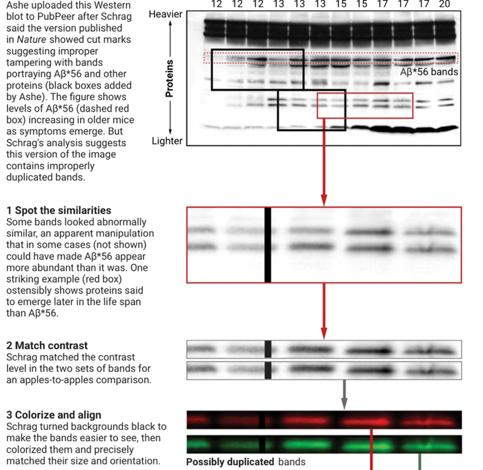 图片来源：Science