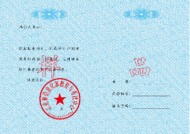 　　《职业技术证书》样本