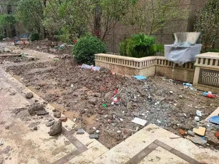 小区的园林绿化景观赶工迹象明显（图源：武汉城市留言板）