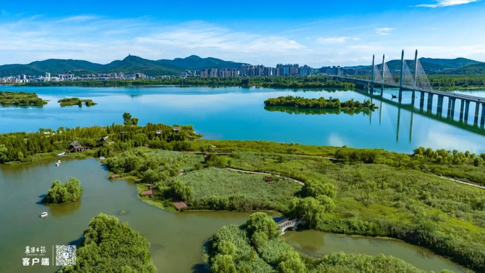 全媒体首席记者杨东 通讯员郑伟 摄