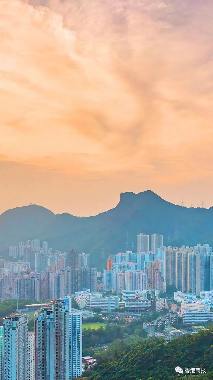 狮子山下的城市景观