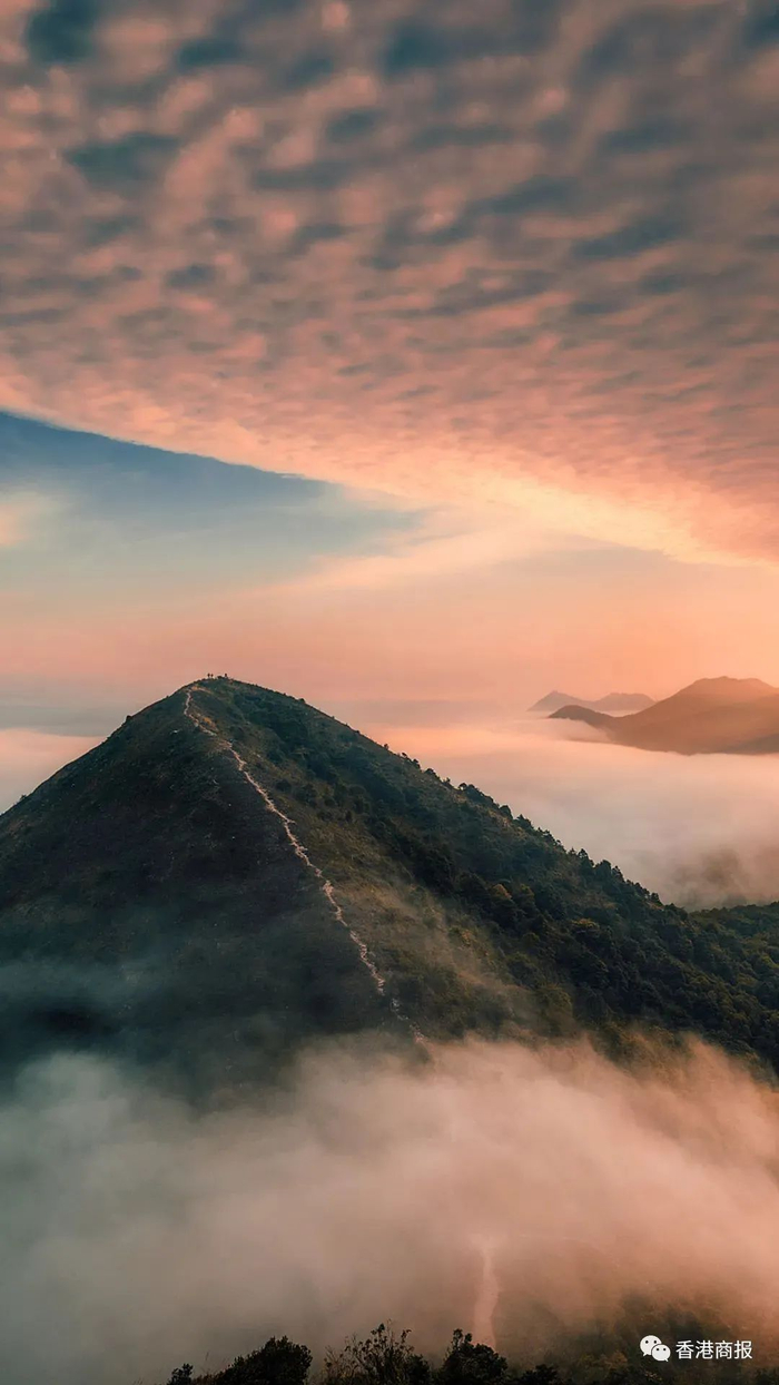 从麦理浩径望去的山景
