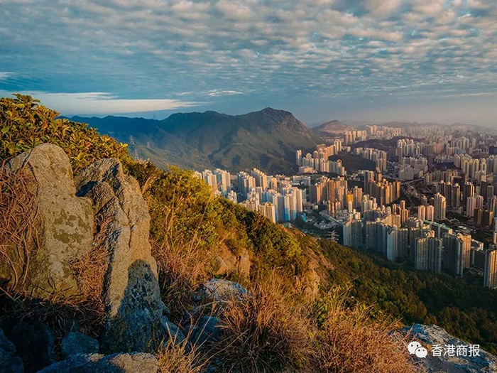 狮子山郊野公园