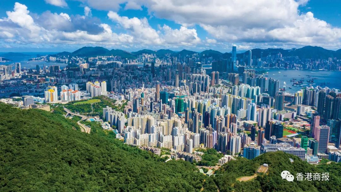 麦理浩径第五段，地形复杂的九龙全貌。