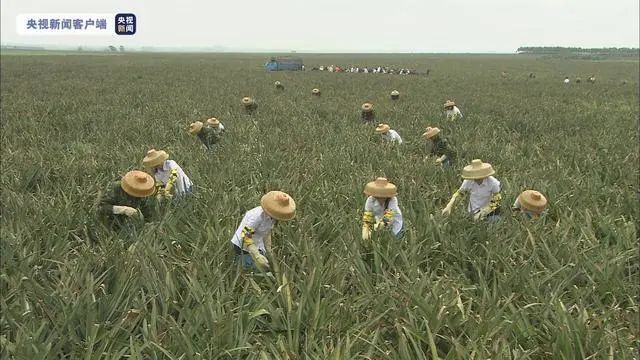 图片来源：央视新闻