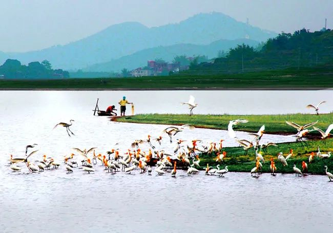 图片来源：灵山县政府官网