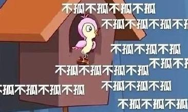 素材来源：上海植物园