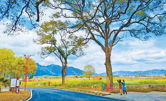 翁源江尾镇松岗村一隅。叶学洲 摄