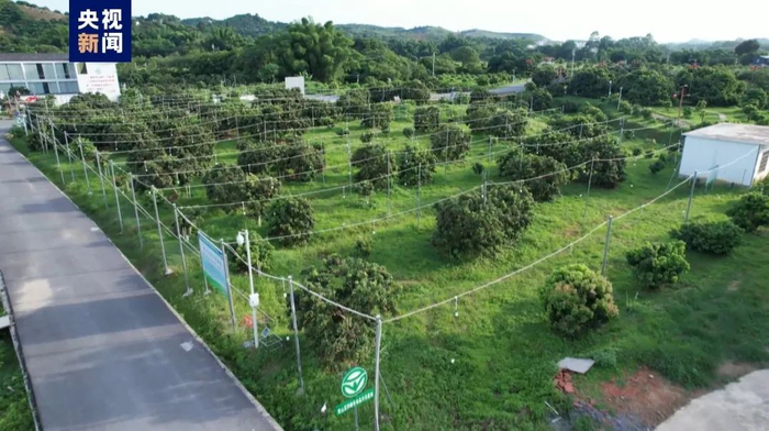 图片来源：央视新闻