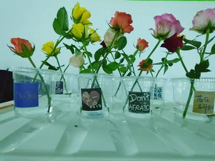 车库插花中，图源作者