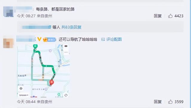 【来源：九派新闻综合中国新闻网、网友评论】