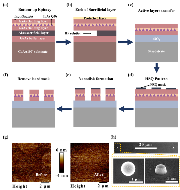 图1.异质集成的InAs量子点发光器件的工艺流程。 