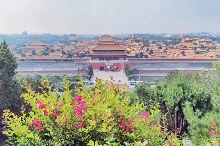 （图片来源：微景山）