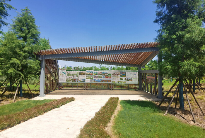 观鸟亭  陈玺撼 摄