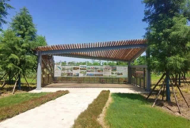 观鸟亭 陈玺撼摄