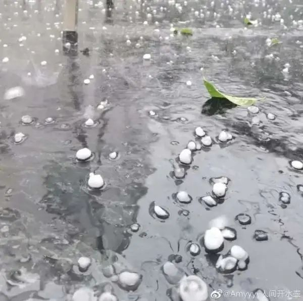 图片来源：微博