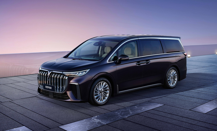 （图片来源：岚图汽车）