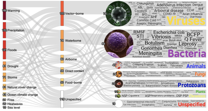 图｜因气候灾害而加重的致病性疾病