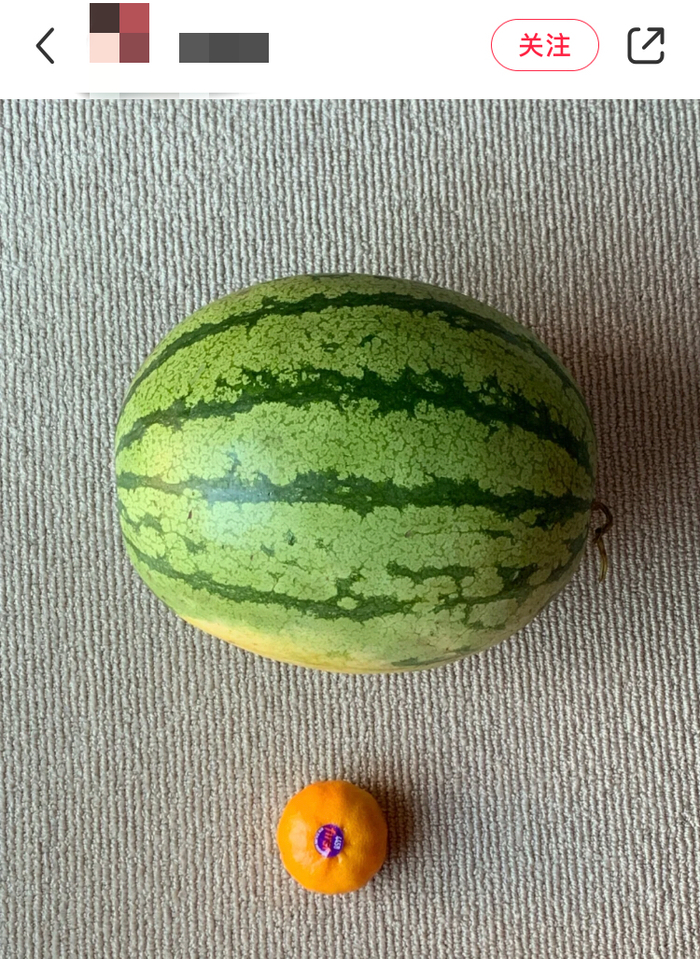 图片来源：网友社交平台分享图