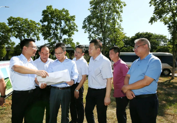 胡贺波在易俗河镇赤湖村杨家湾调研耕地恢复情况。（记者 李新辉 摄）