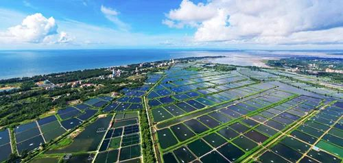 东兴京岛海洋渔业示范区一瞥（资料图）