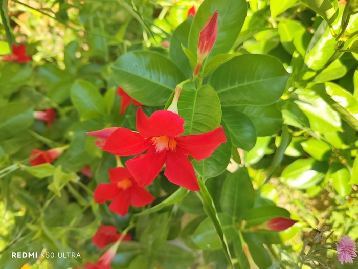  图源：品玩 ByArsT摄