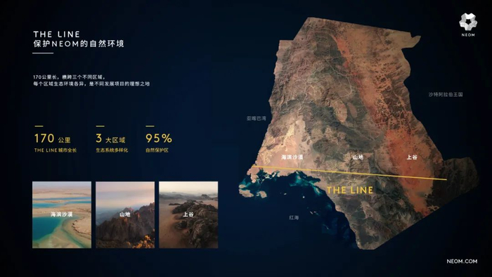 “线”信息图。受访者供图