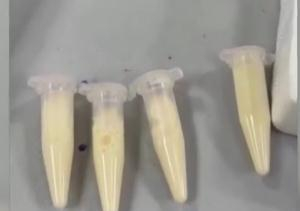  图片来源：视频截图