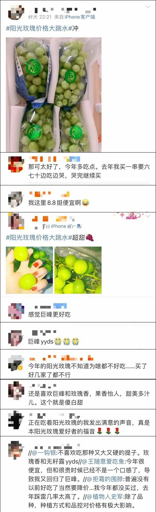 来源：钱江晚报全媒体编辑中心综合自温州商报、温商全媒体、红星新闻、四川观察、网友等