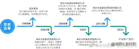 　　资料来源：重庆能投官网