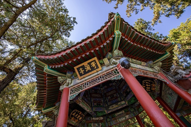 AF-S对焦模式的实拍照片