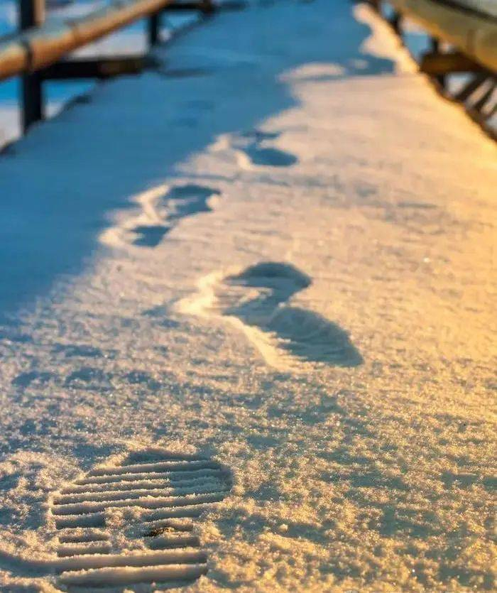 ▲雪地中的脚印