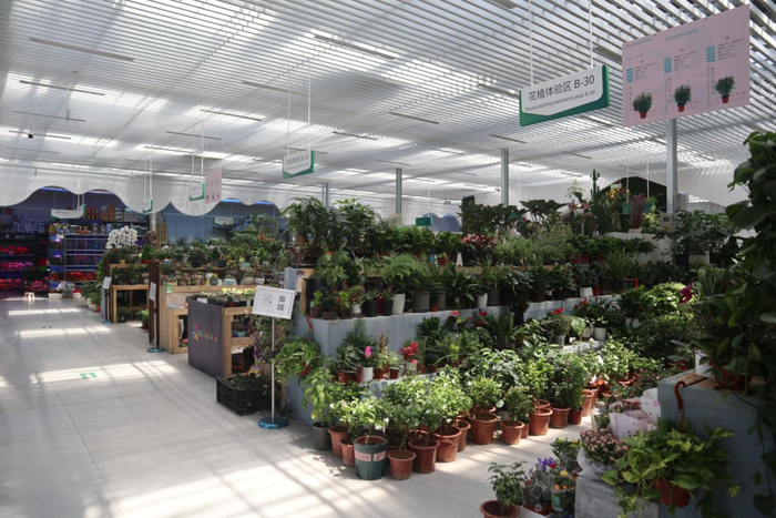 北京花卉交易中心 记者拍摄