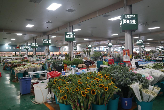 花花市界鲜花区 记者拍摄