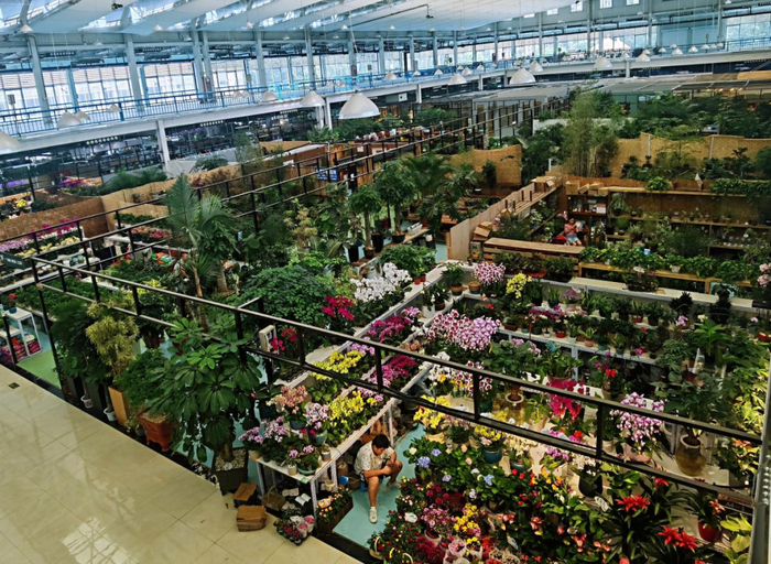 蟹岛国际花卉商城供图