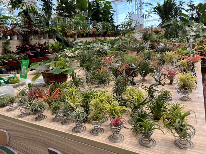 市场上售卖的产品 记者拍摄