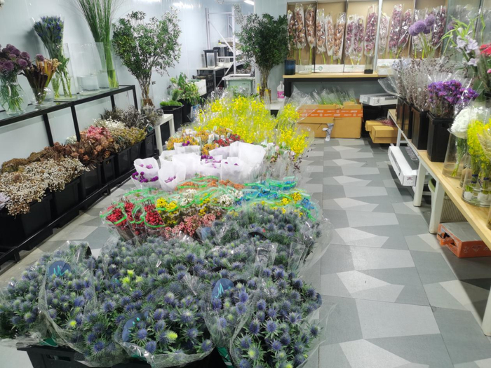 东风国际花卉市场供图