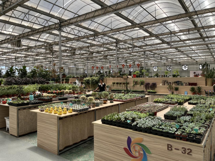 四环花卉 记者拍摄