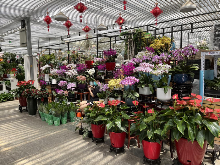 花乡花卉创意园 记者拍摄