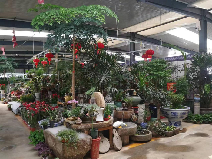 北京良乡庄园花卉园艺市场供图