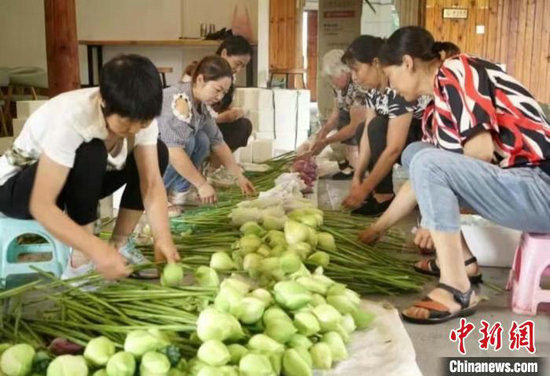 工人们在打包鲜切荷花。张建成 摄