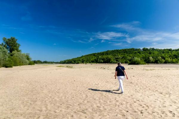 当地时间2022年8月9日，卢瓦尔河已经非常低，某些地方甚至可以步行穿过