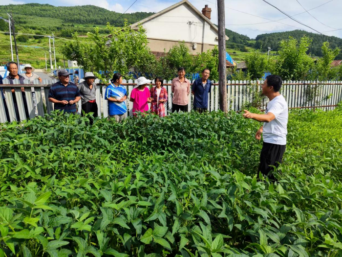（图片来源：吉林融媒）