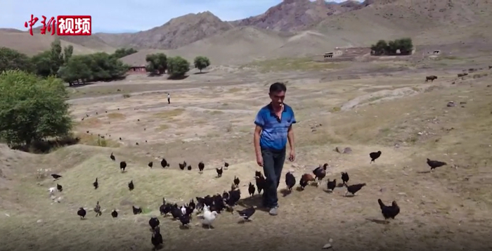 （图片来源：中新视频）