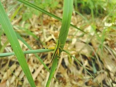 （图片来源：人民融媒体）